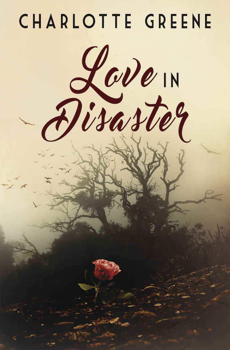 love and other disasters novel