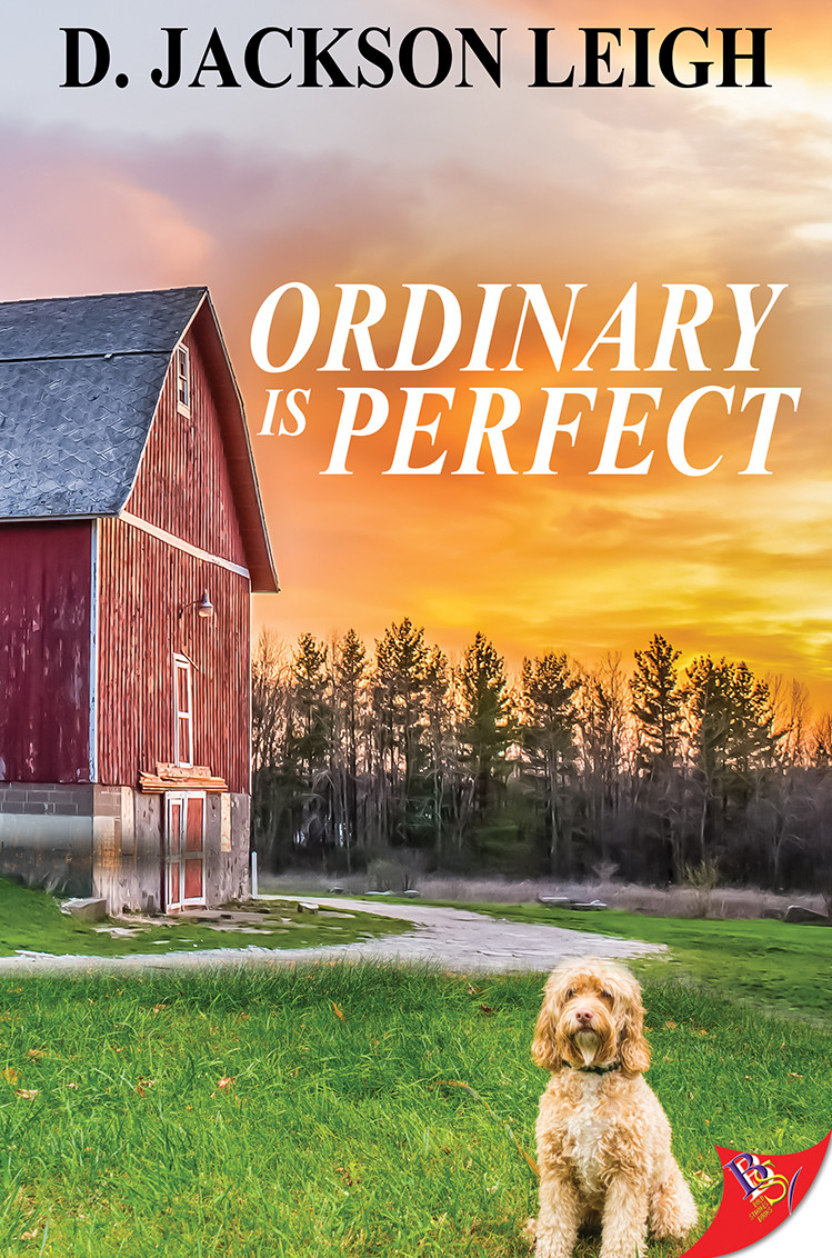 Ordinary is Perfect