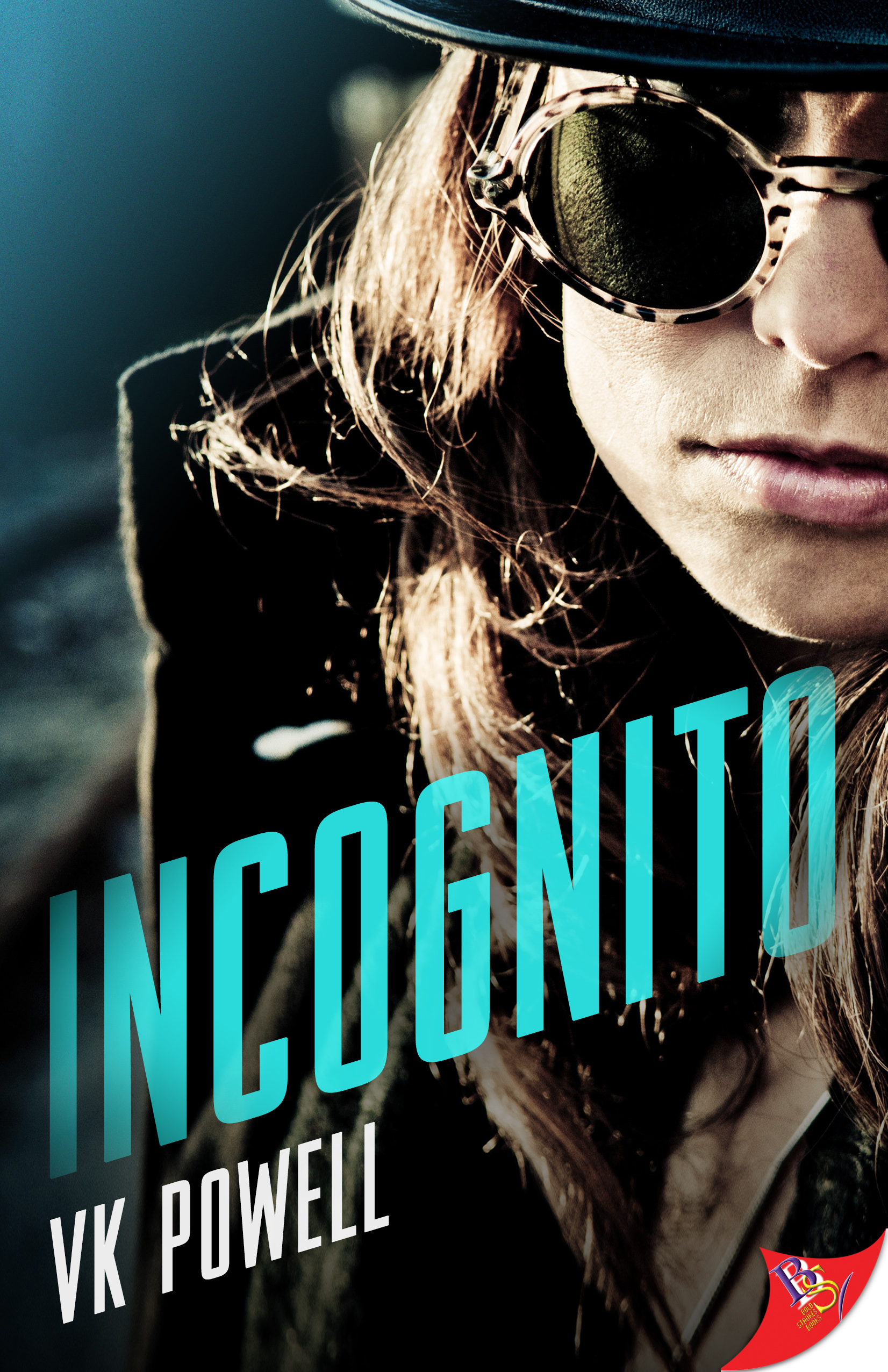 Incognito by VK Powell | Bold Strokes Books