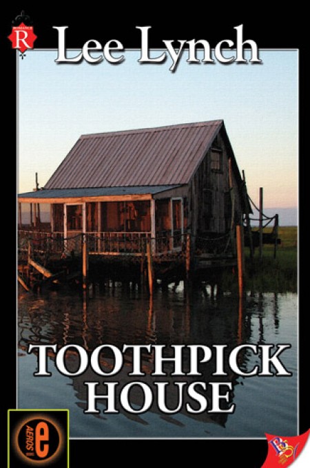 Toothpick House